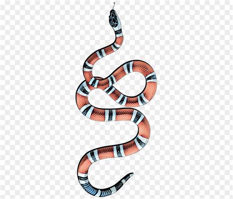 corn snake gucci|Gucci snake meaning.